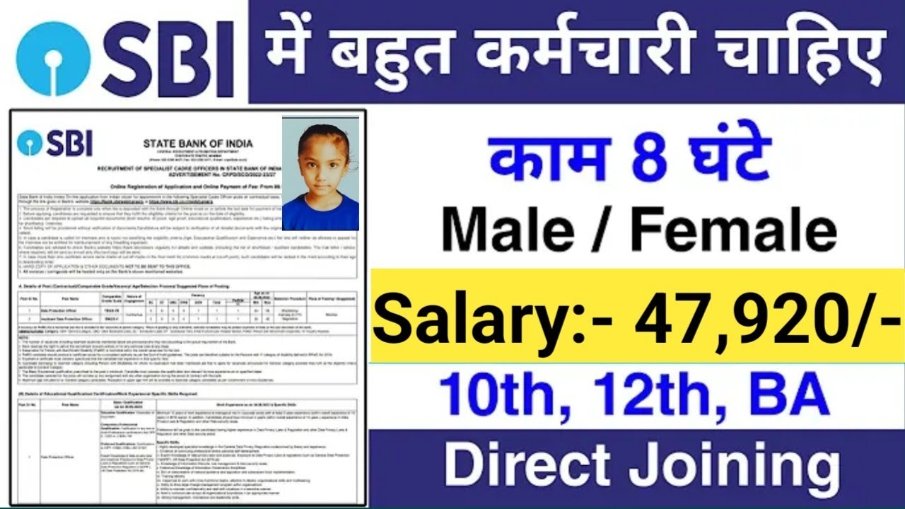 SBI Clerk Vacancy 2024-25 Notification Out | SBI Bank Clerk Recruitment 2024 | Bank Jobs Dec 2024
