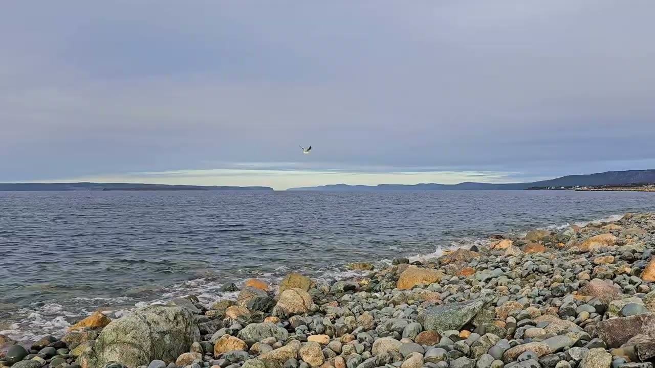 Ocean Waves for Sleep | Relax | Meditation | No Music | 1hour