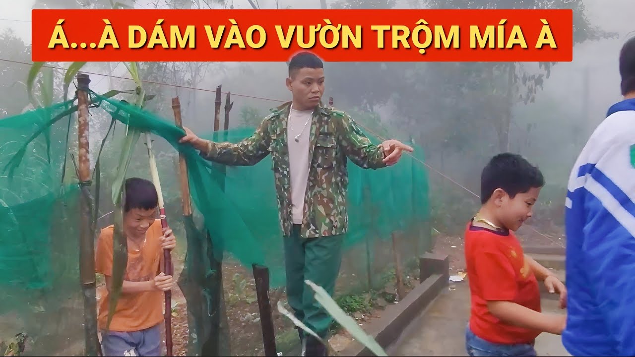 HATV - (TẬP 34) TRỘM M&Iacute;A