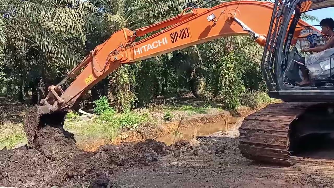 PERAWATAN KEBUN SAWIT MENGGUNAKAN EXCAVATOR ❗
