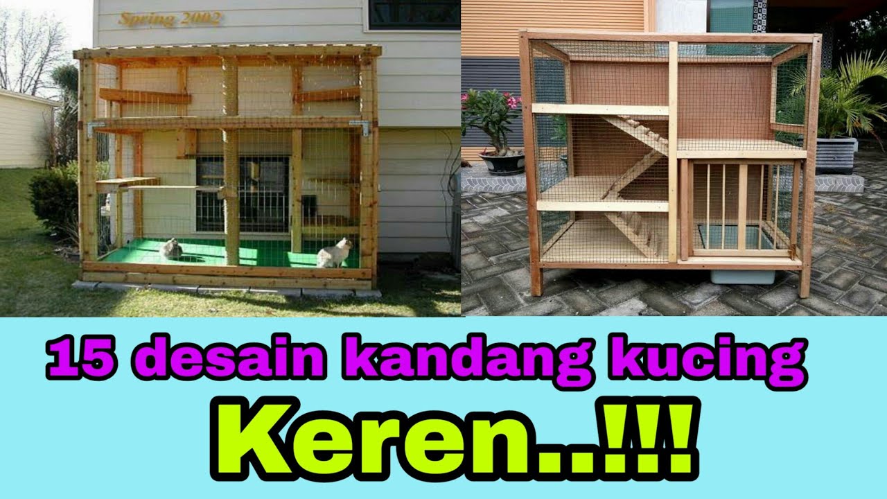 15 desain kandang kucing menarik dan keren
