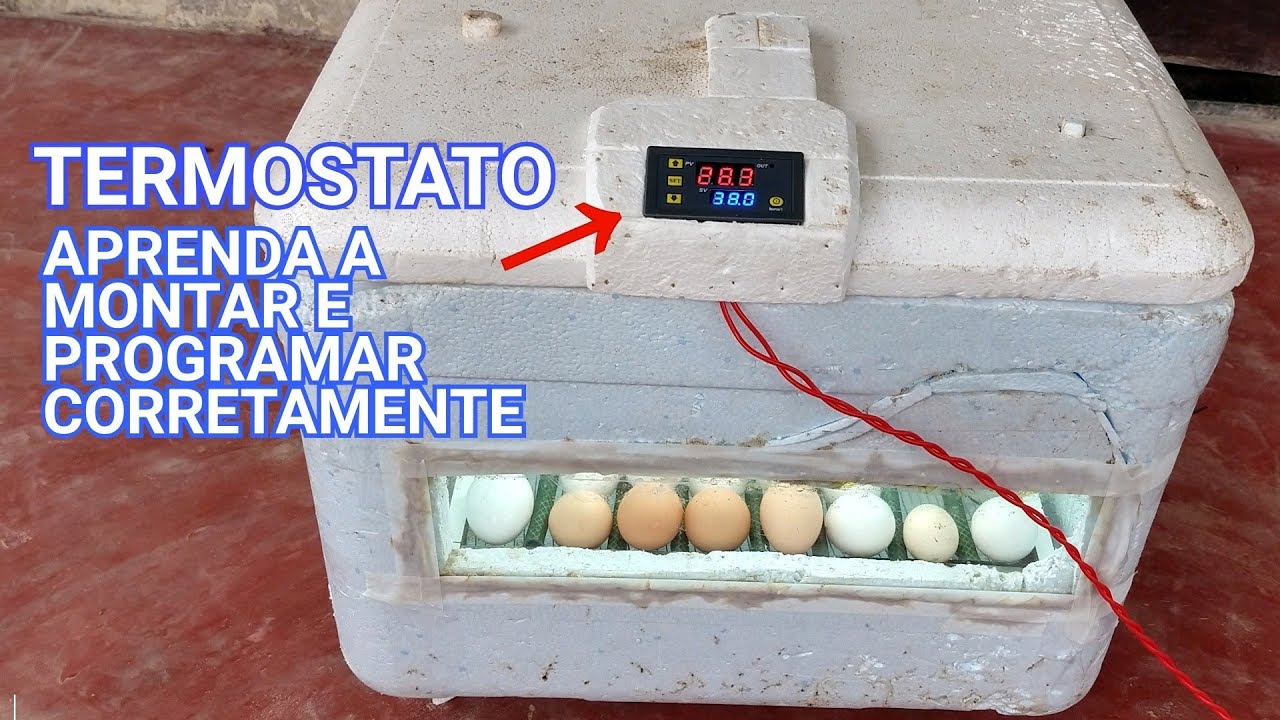 COMO MONTAR E PROGRAMAR UM TERMOSTATO NA CHOCADEIRA DE ISOPOR
