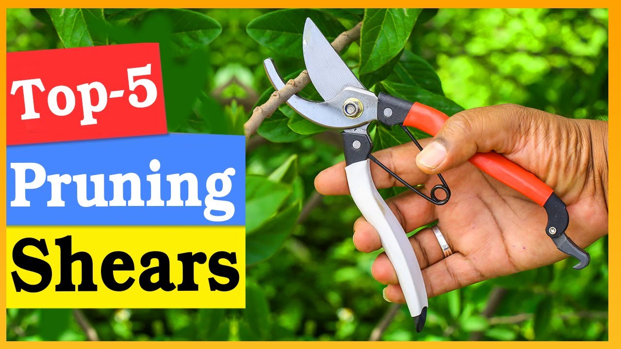 Pruning Shears to Buy on Amazon in 2026 | pruning shears | Pruning Shears to Buy on market in 2026