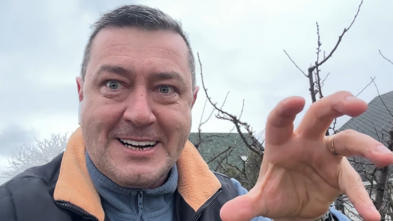 Shaorma si Circ cu PIEDONE la Suceava! Ce s-a schimbat în BINE după plecarea omului de aici???