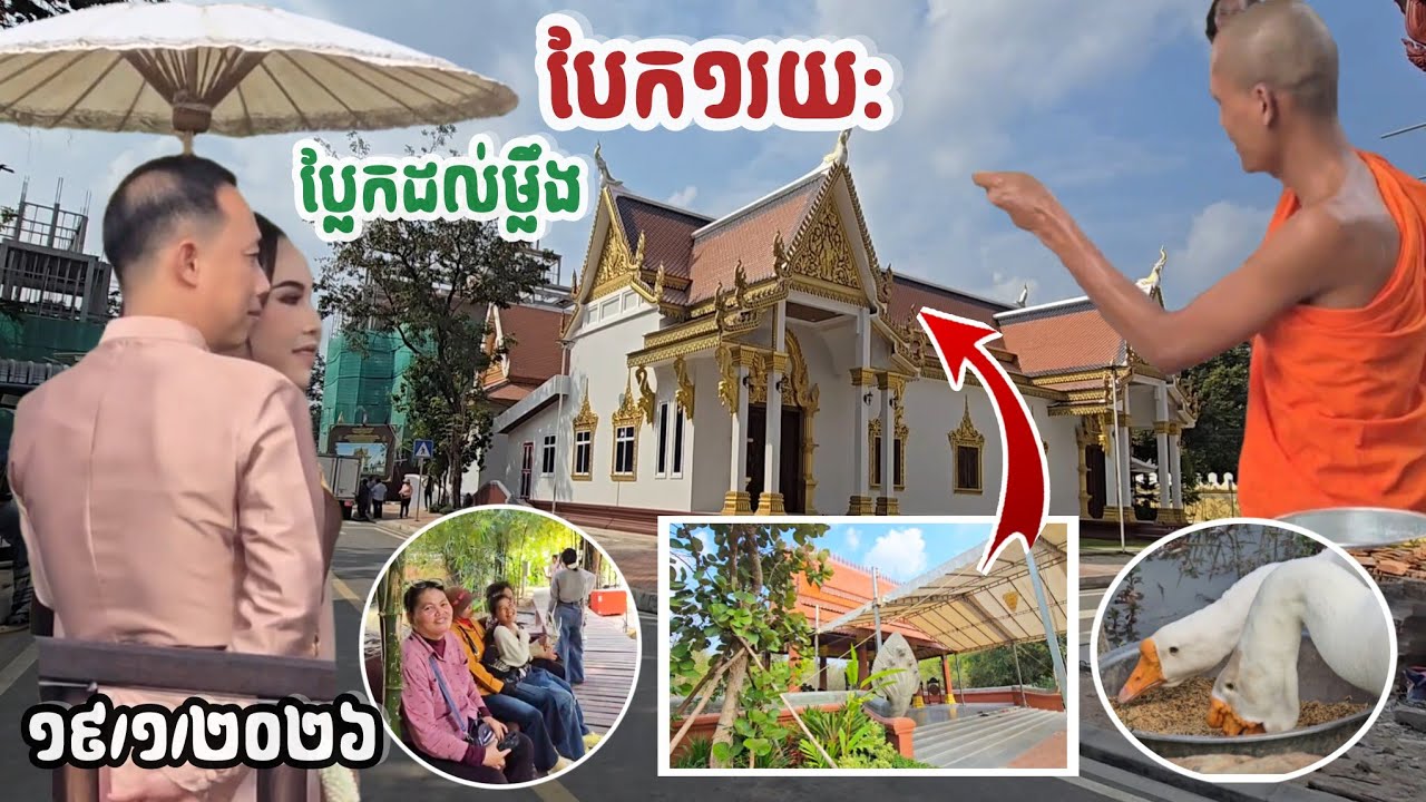 #បច្ចុប្បន្នភាពក្តៅៗថ្ងៃនេះពីវត្តដល់កោះ