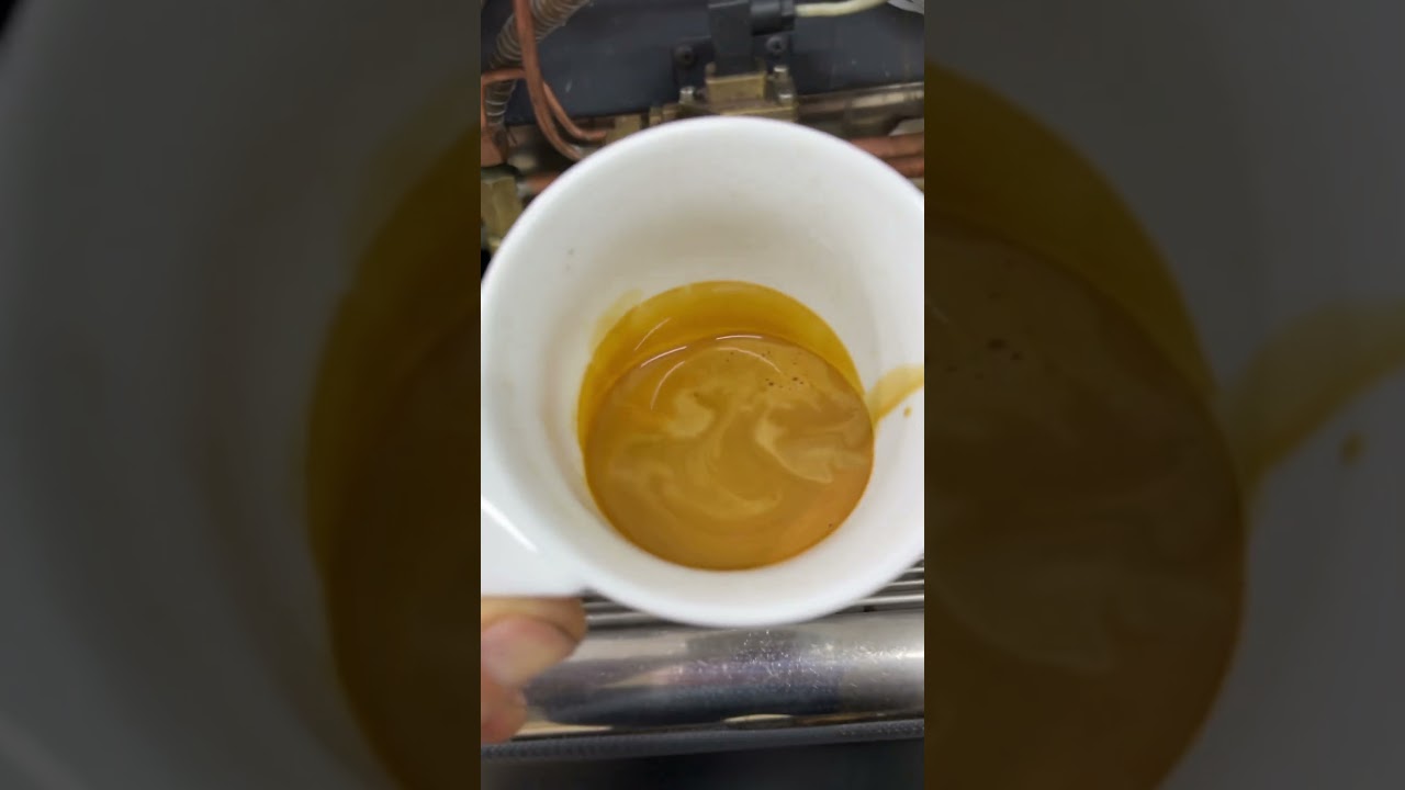 La Speziale s5 тест кофемашины #phoenix #coffee #sochi #ремонткофемашин
