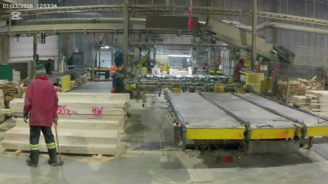 Pallet Sawmill … Green Chain -22  with windchill -30