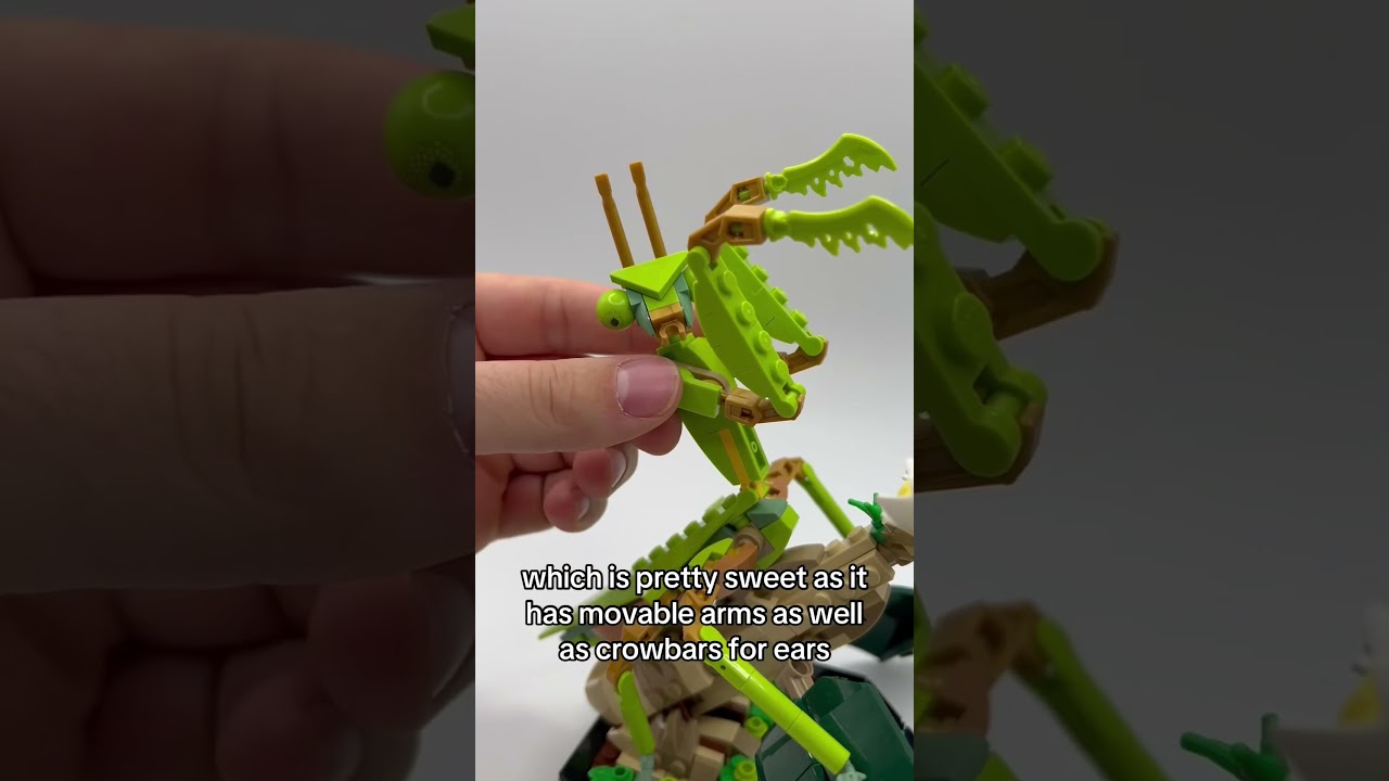 THE BEST GIFT OF 2024 #lego #insect #butterfly #beetle #mantis #giftideas #gift #steakytm #christmas