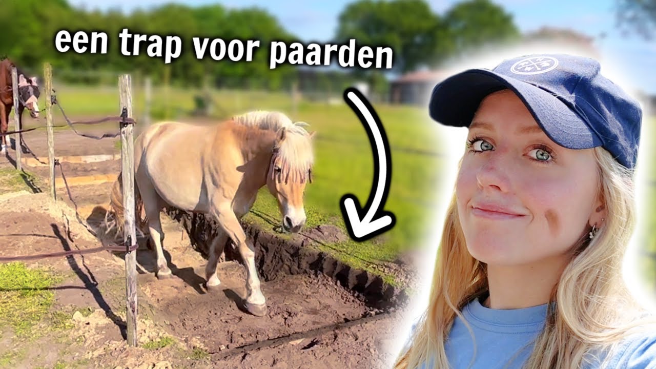 In 24 UUR ons Paarden Paradijs OPKNAPPEN! 🛠️🥵