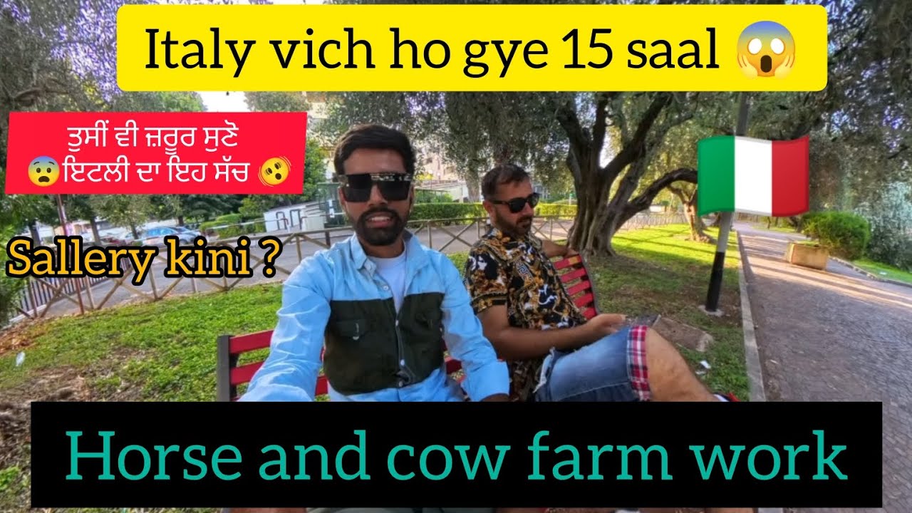 punjabi in italy // italy  work permit // horse and cow farm work // monthly income @pankushmehta