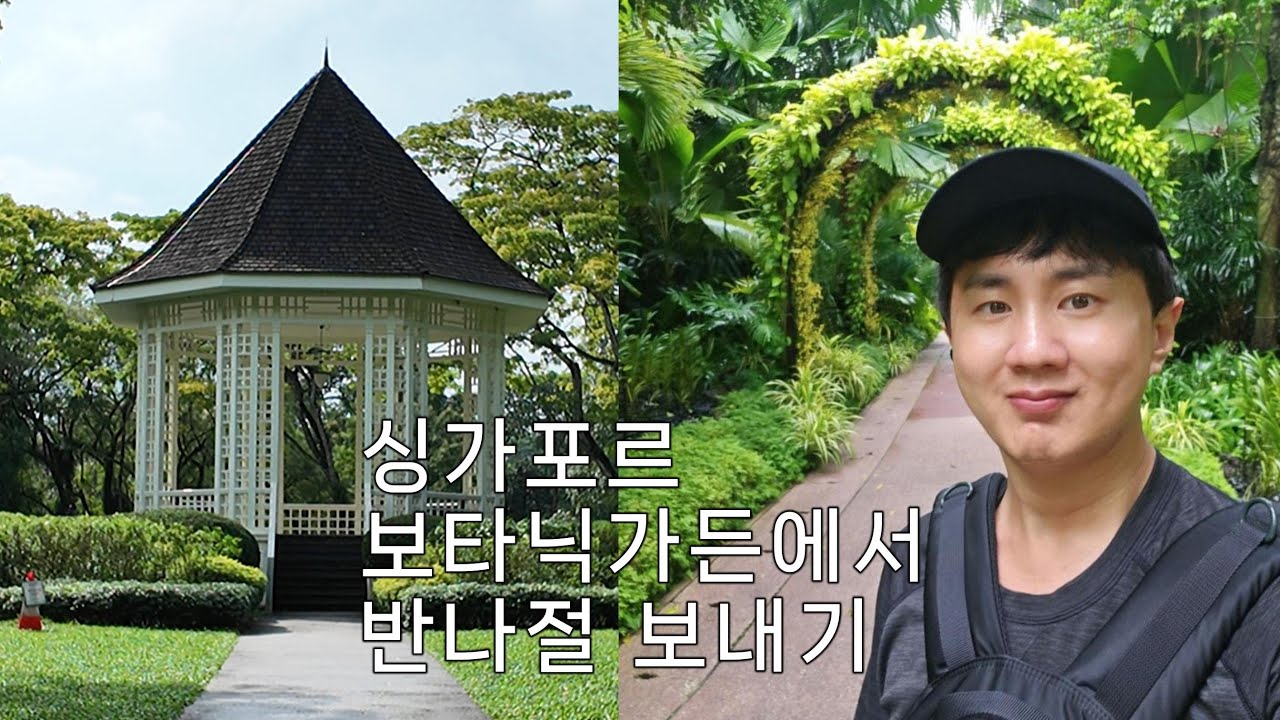 이렇게 좋을 일...? 2시간 예상하고 반나절 순삭된 싱가포르 보타닉 가든 탐방하기