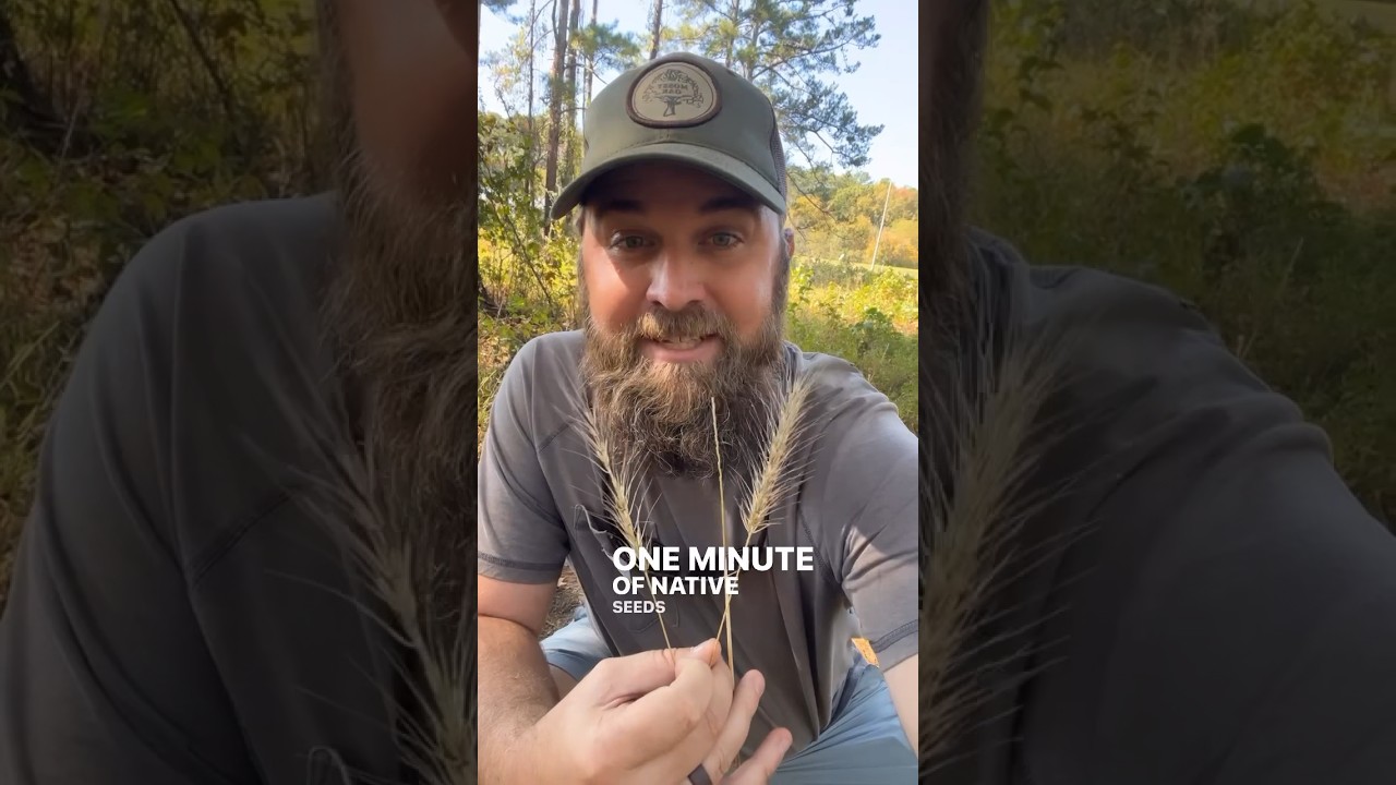 Flint Creek Meadow wasn&rsquo;t mowed this year! #grassland #nativeseeds #publicland