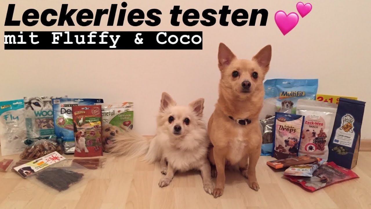MEINE HUNDE VERKOSTEN LECKERLIES 🐶 I Sabinchen