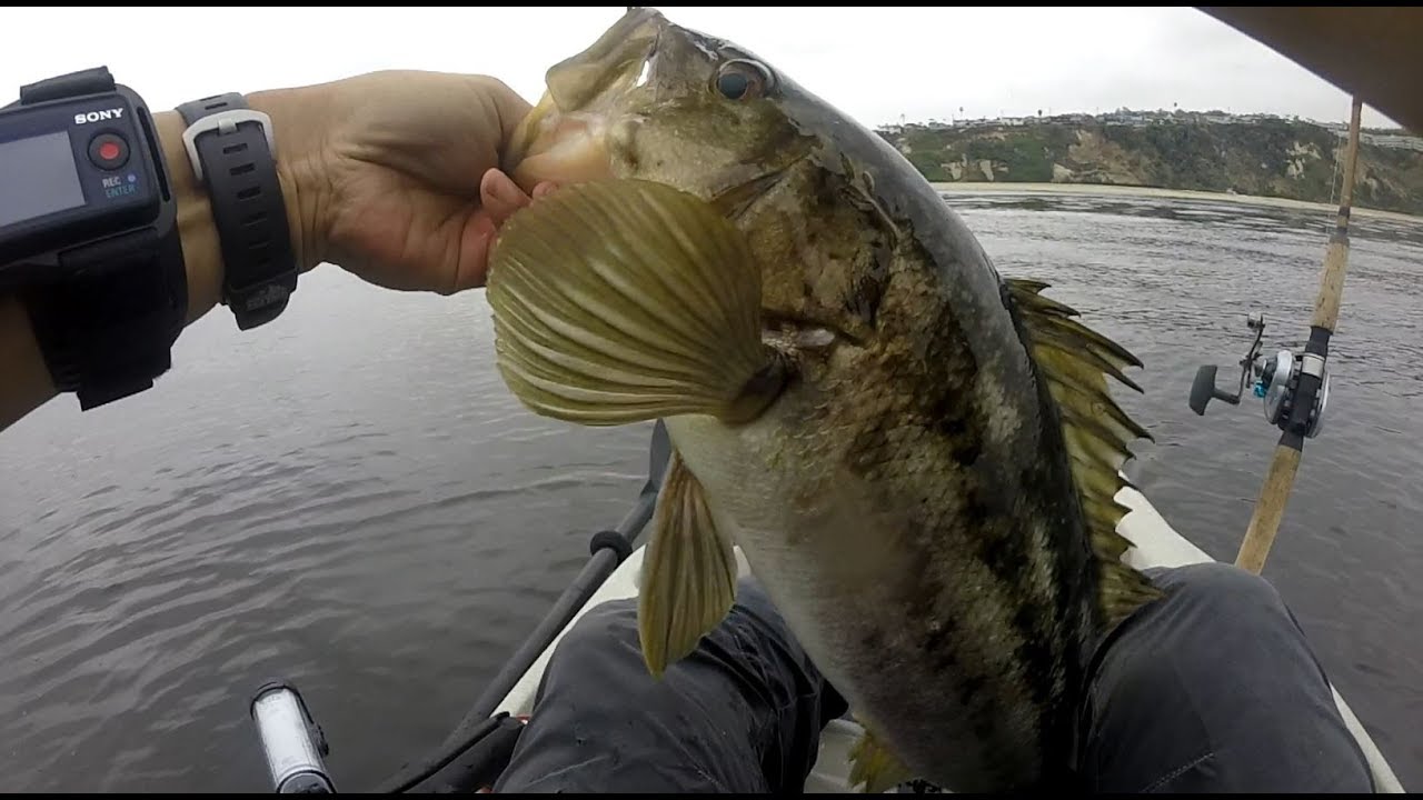 Kayak Fishing Southern California - how to fish Palos Verdes kelp beds.