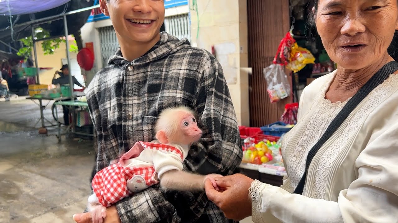 Baby monkey Zika's reaction when going to the market with his dad