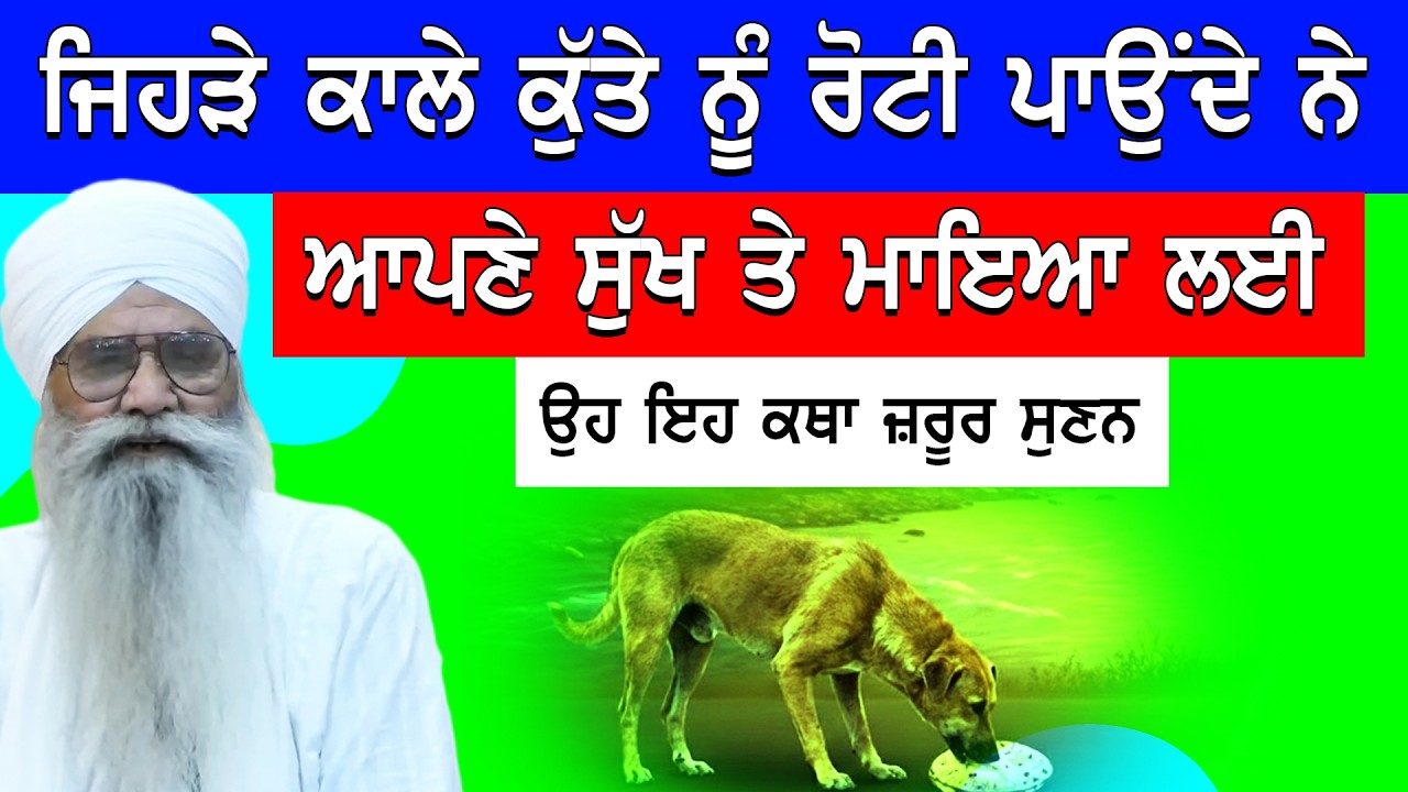 ਜਿਹੜੇ ਕਾਲੇ ਕੁੱਤੇ ਨੂੰ ਰੋਟੀ ਪਾਉਂਦੇ ਨੇ ਆਪਣੇ ਸੁਖ ਤੇ ਮਾਇਆ ਲਈ, ਉਹ ਇਹ ਕਥਾ ਜ਼ਰੂਰ ਸੁਣਨ। New Gurbani Katha