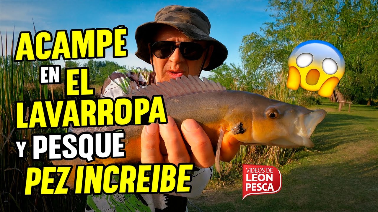 🎣 ACAMP&Eacute; en EL LAVARROPA y PESQU&Eacute; un PEZ INCRE&Iacute;BLE 😱 | Pesca & Cocina