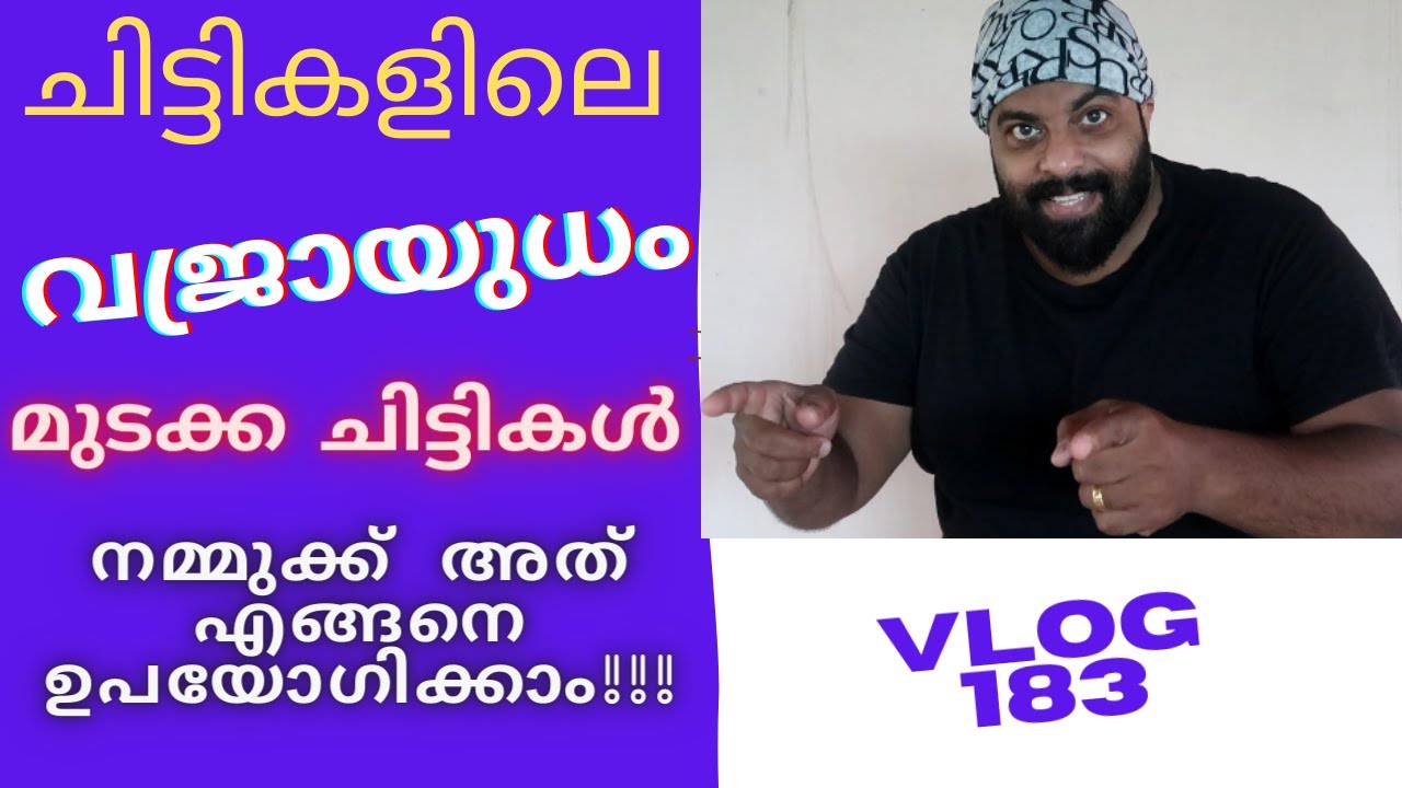 K.S.F.E.യിൽ മുടക്ക ചിട്ടികൾ നമ്മുക്ക് എങ്ങനെ തിരഞ്ഞെടുക്കാം🔥🔥🔥II MALAYALAM VLOG 183