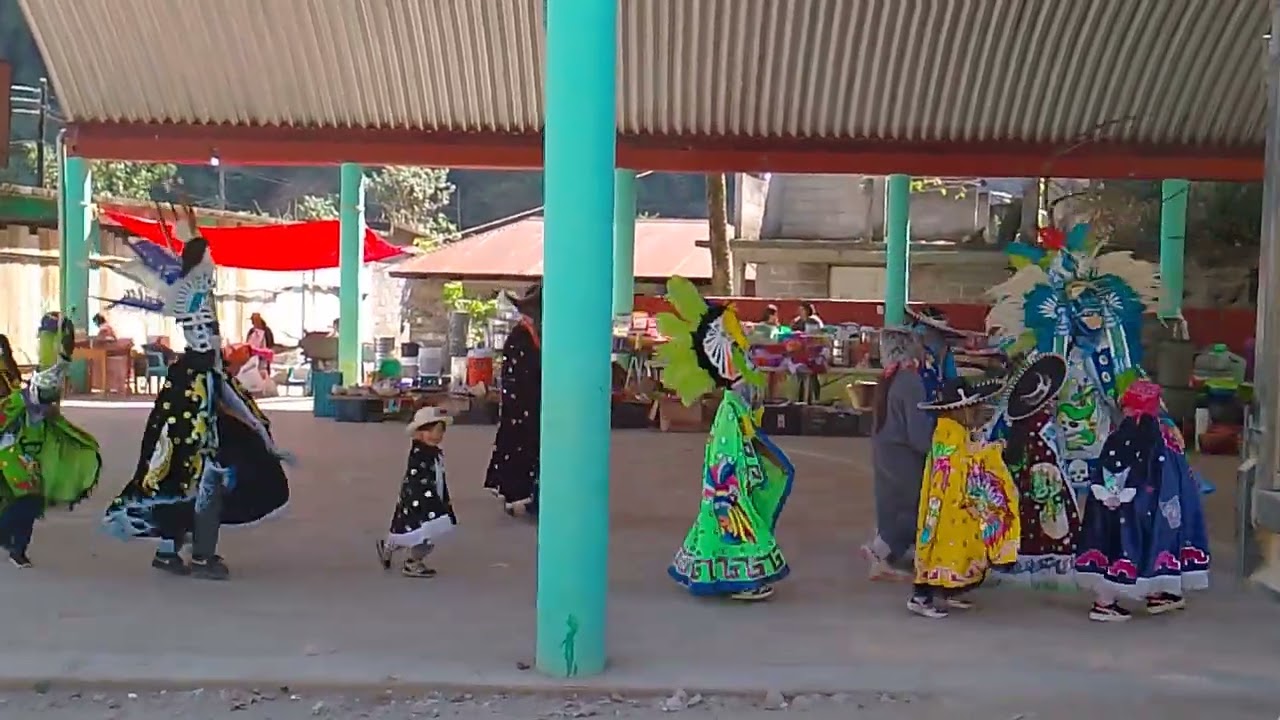 Primer día de carnaval en atempa ilamatlan veracruz