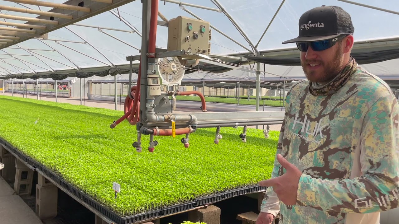 Kyle Plant Video