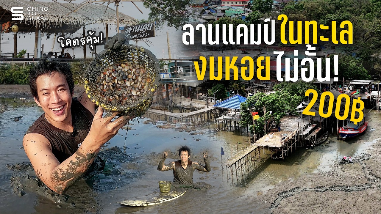 200 บ.งมหอยแครงกินไม่อั้น! นอนเต็นท์ริมทะเล ที่ลานเคยแคมป์ปิ้ง