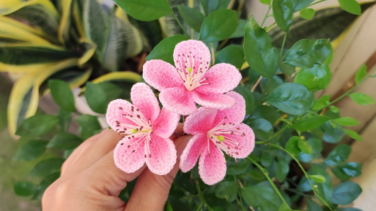 Hướng dẫn móc hoa Đào - Mai đón tết 🧶- Crochet Flowers 🌸
