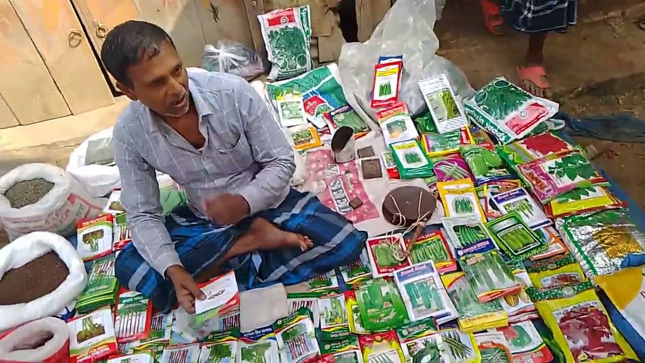 চাচা বলে দিলেন কি করে বীজ বপন করতে হবে