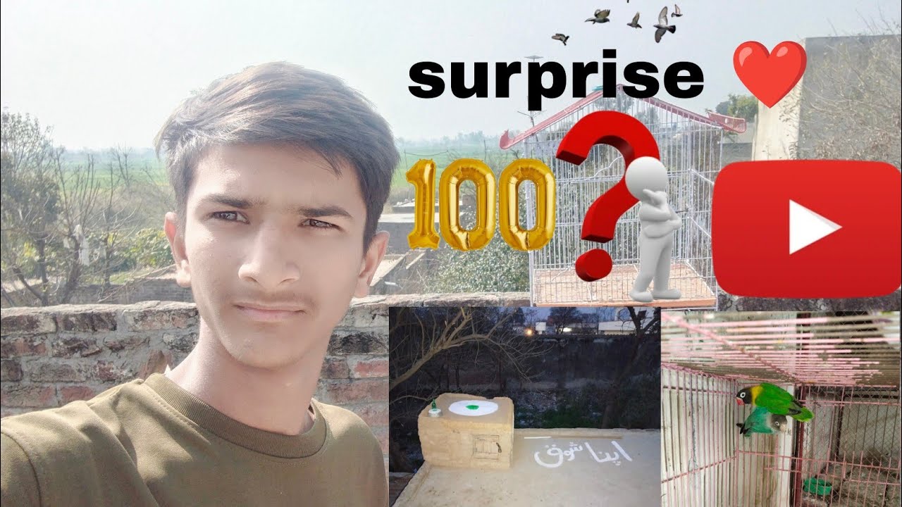 Aaj hamare 100 subscriber pure hone ki Khushi mein mini zoo mein surprise a Gaya 😍🤩💞