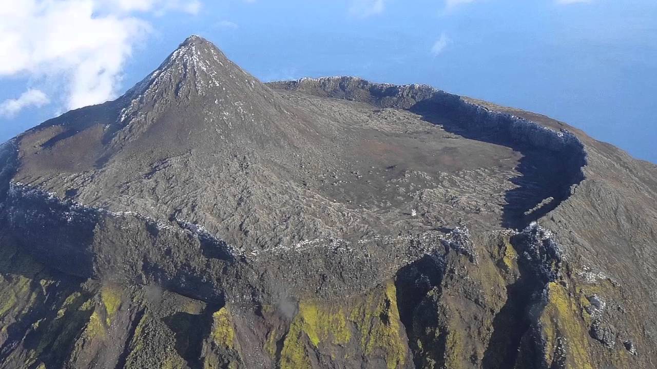 Meu Rico Pico