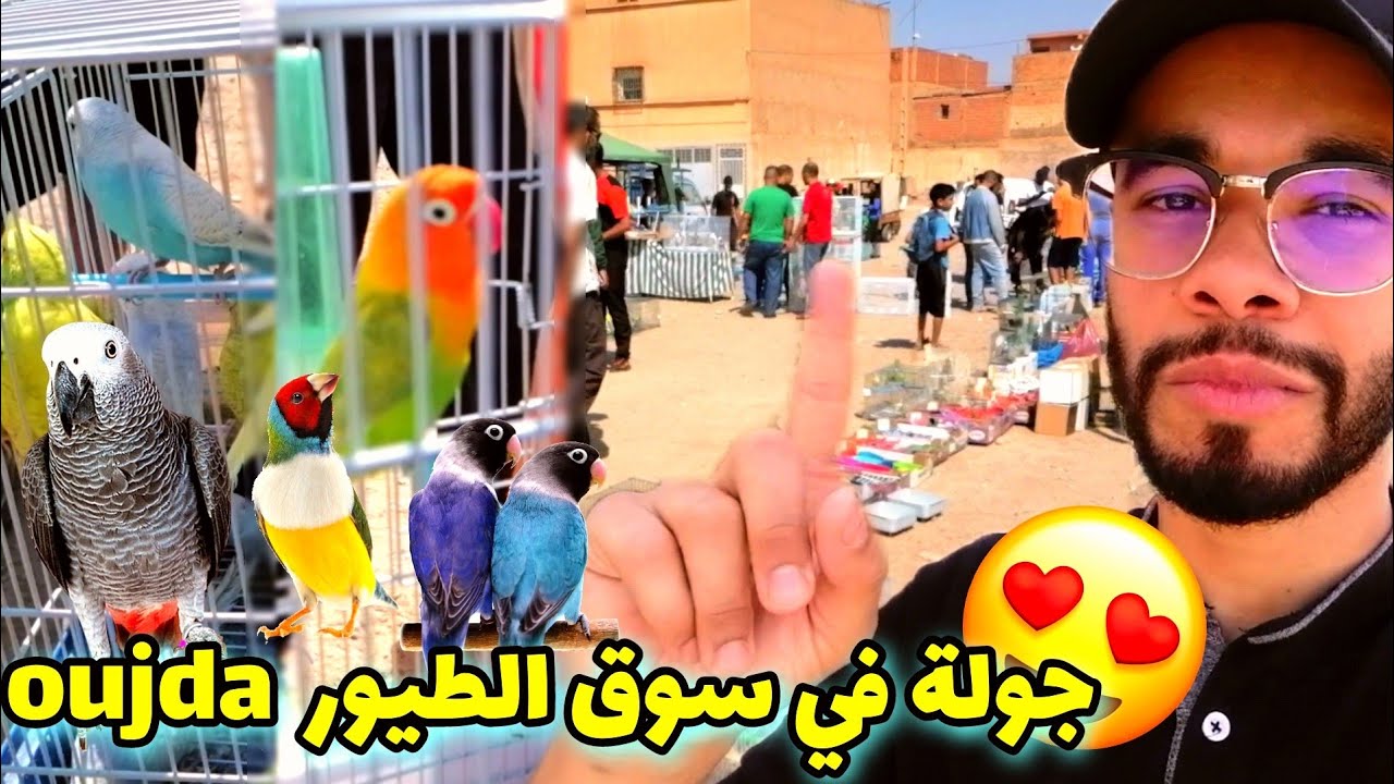 و أخيرااا جولة في أرخص سوق الطيور في مدينة وجدة أثمنة الطيور و أقفاص OUJDA 2022❤️✅
