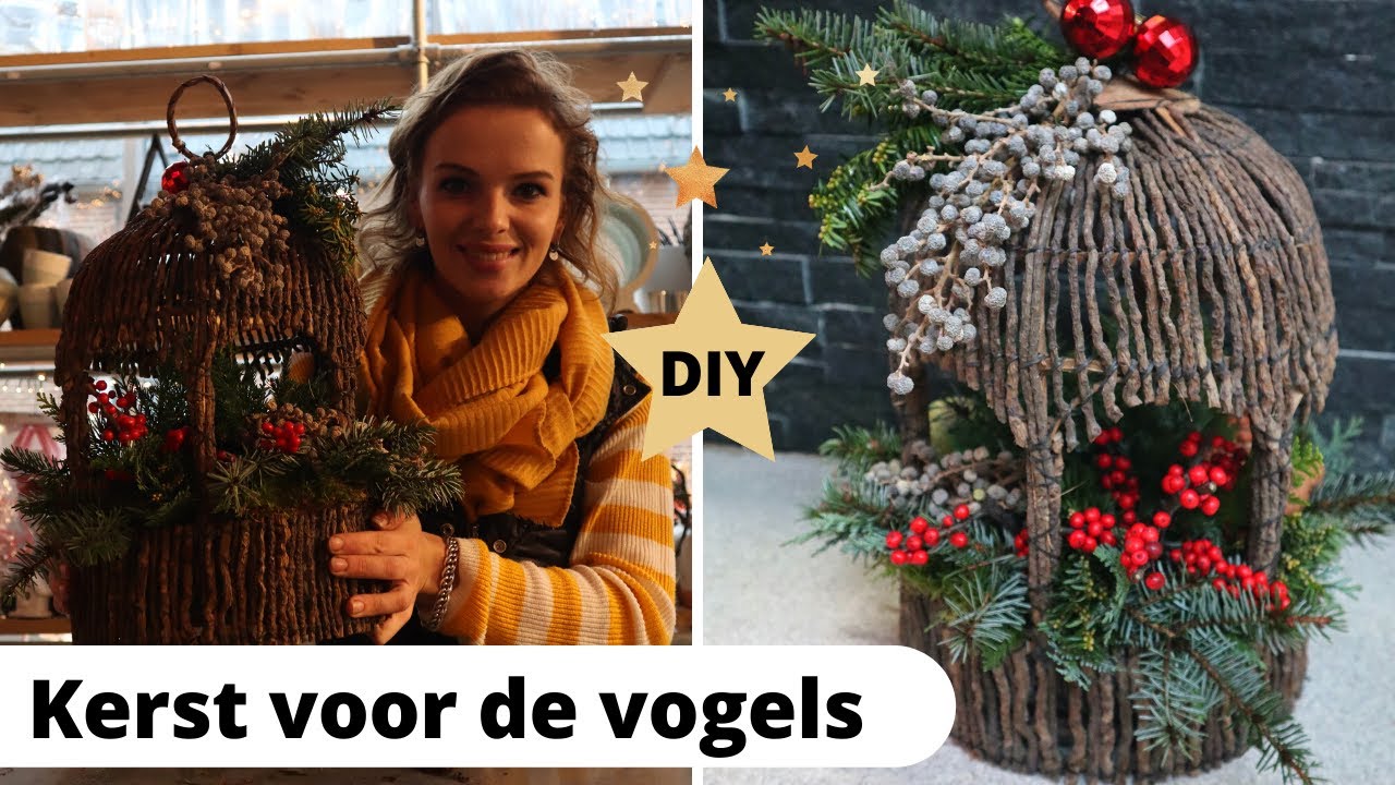VOGELHUIS KERST BLOEMSTUK | Cursus bloemschikken #43 | Carlein Tukkers