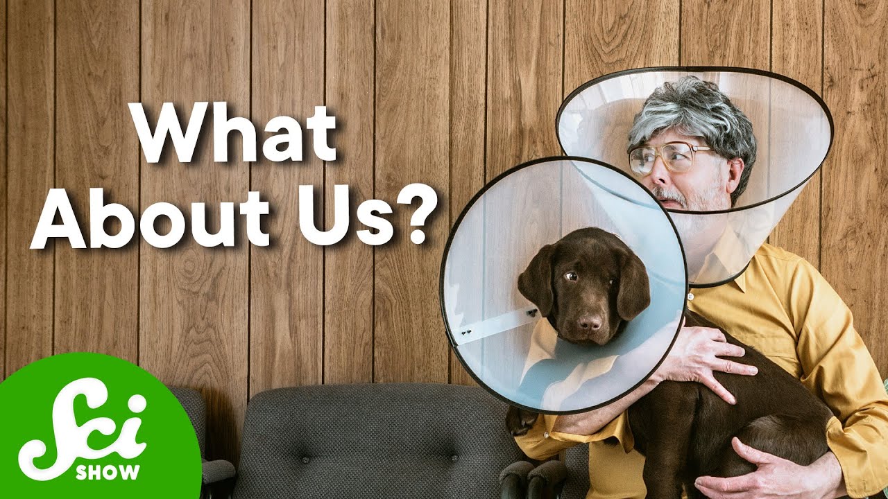 Why Your Dog Has An Anti-Tick Pill And You Don&rsquo;t?