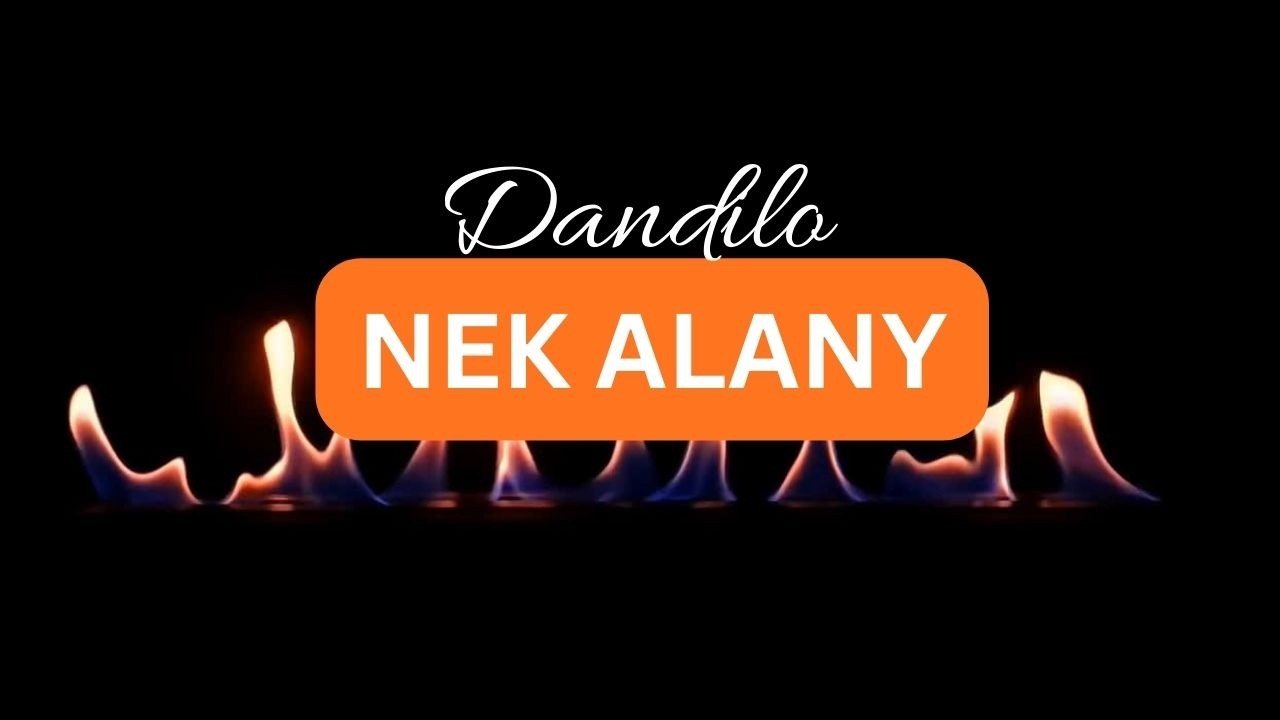 Neka Alany Dandilo 🔥 Stop The Violence  Ugandan Reggae 2026