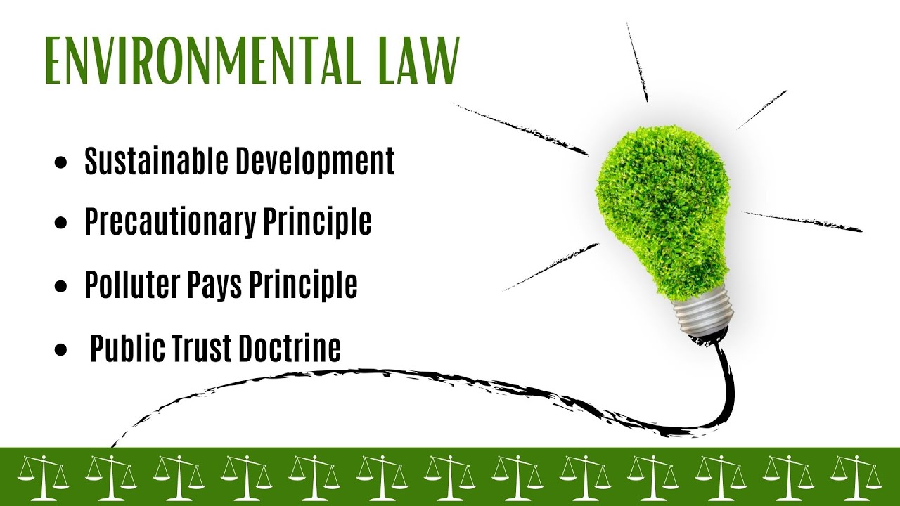 Sustainable Development | Precautionary Principle | Polluter Pays Principle | Public Trust Doctrine