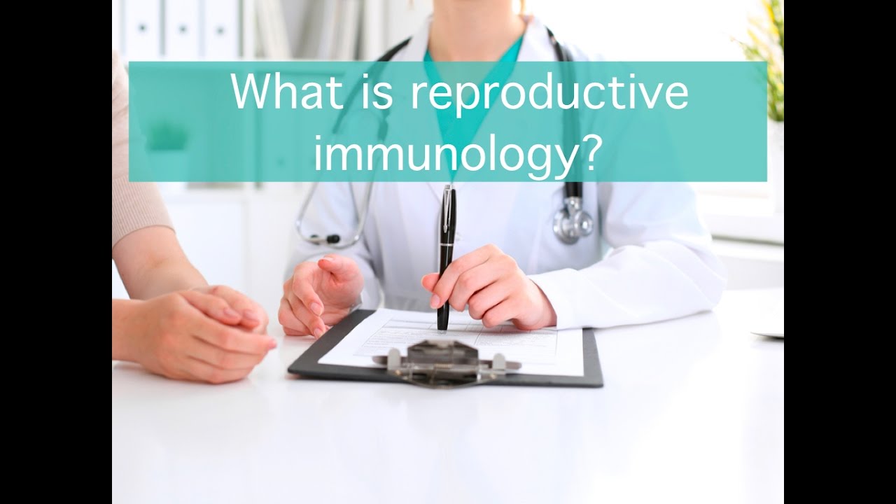 What is reproductive immunology?