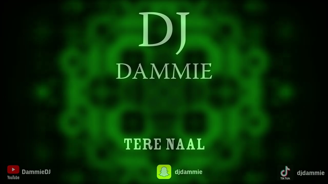 TERE NAAL | DEEPI | DJ DAMMIE | BASSLINE BHANGRA | SPEED GARAGE | 2025 PUNJABI REMIX