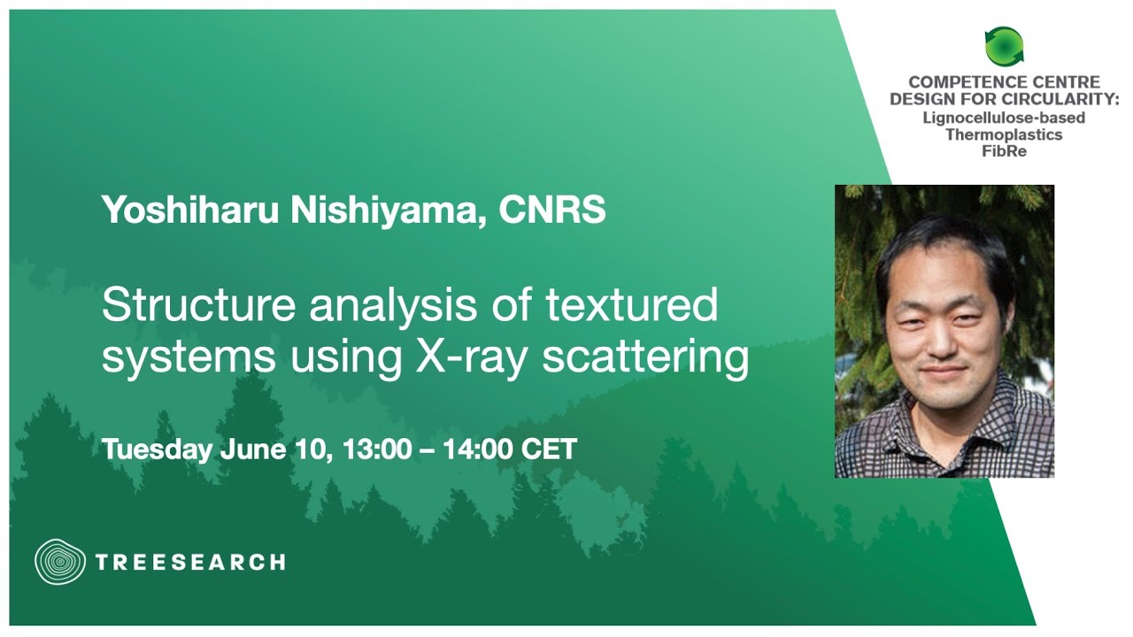 FibRe and Treesearch online seminar series: Yoshiharu Nishiyama, CNRS