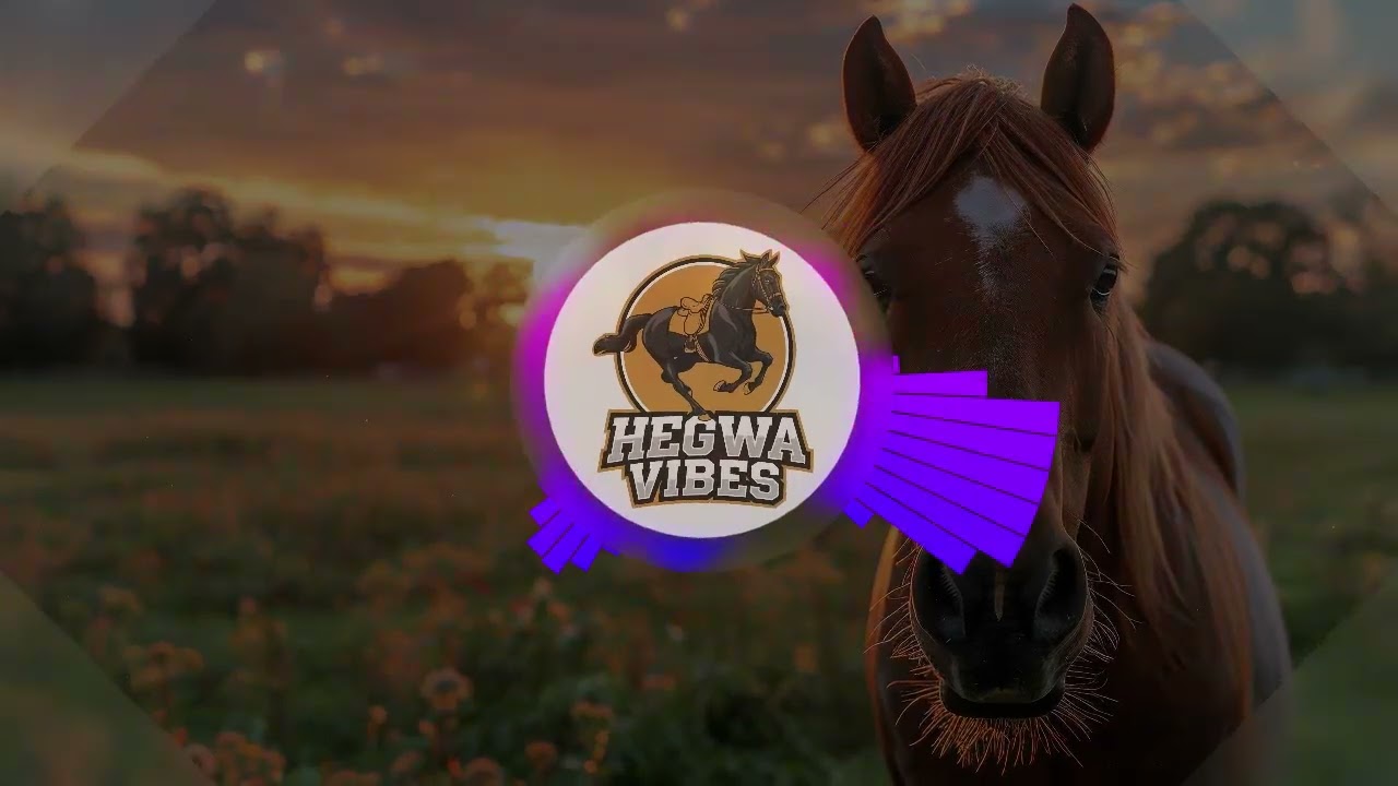Hakwa Nadro Vude Remix [Dj Gabby]