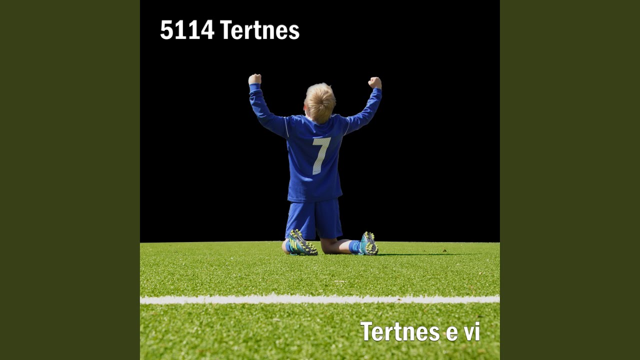 Tertnes e vi