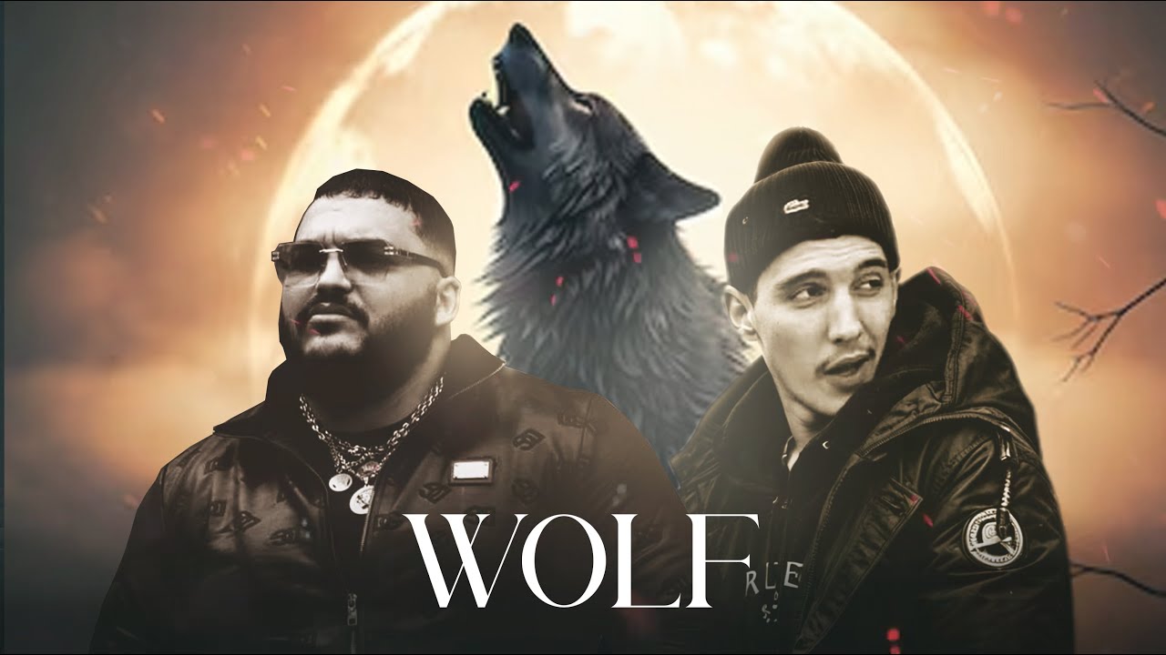 DAK X TRAP KING - WOLF (Remix) H'M X Beat7oven