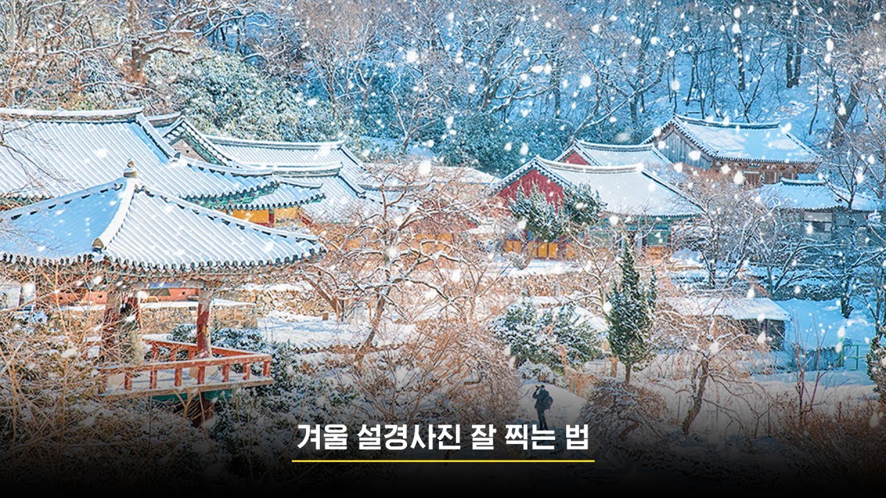 겨울 설경사진 잘 찍는 법 / 박성욱 작가
