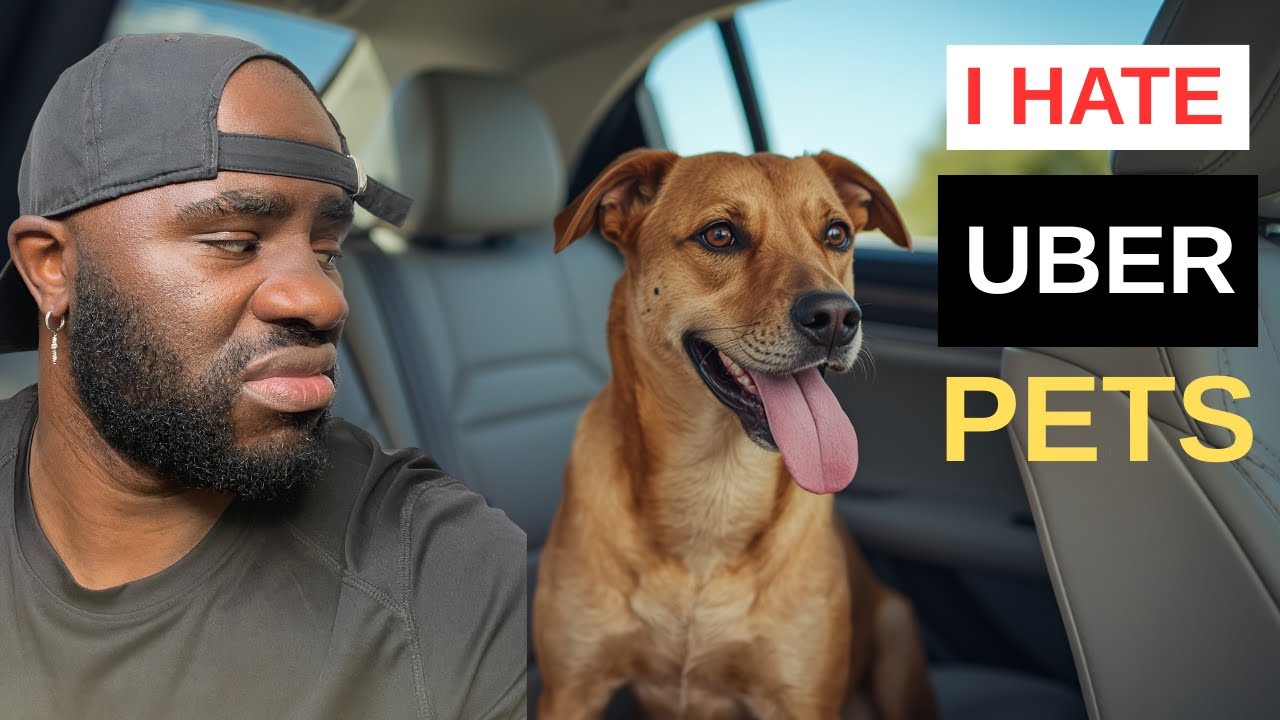 Я ненавижу питомцев Uber — Uber Vlog #11