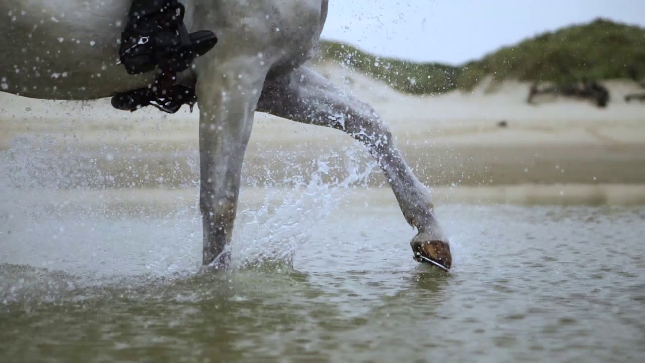 HORSE SLOW MOTION ♥ [PREVIEW]