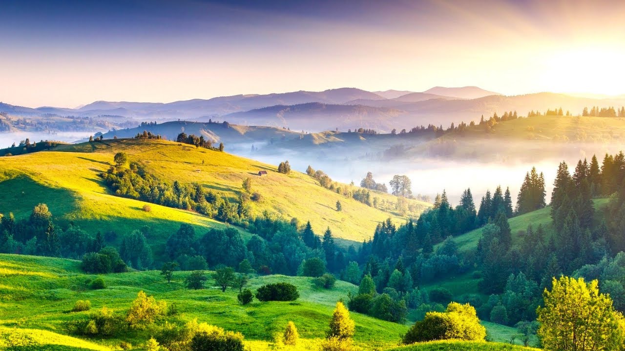 Calm the Nervous System 🌿 Relaxing Music to Release Stress & Mental Tension