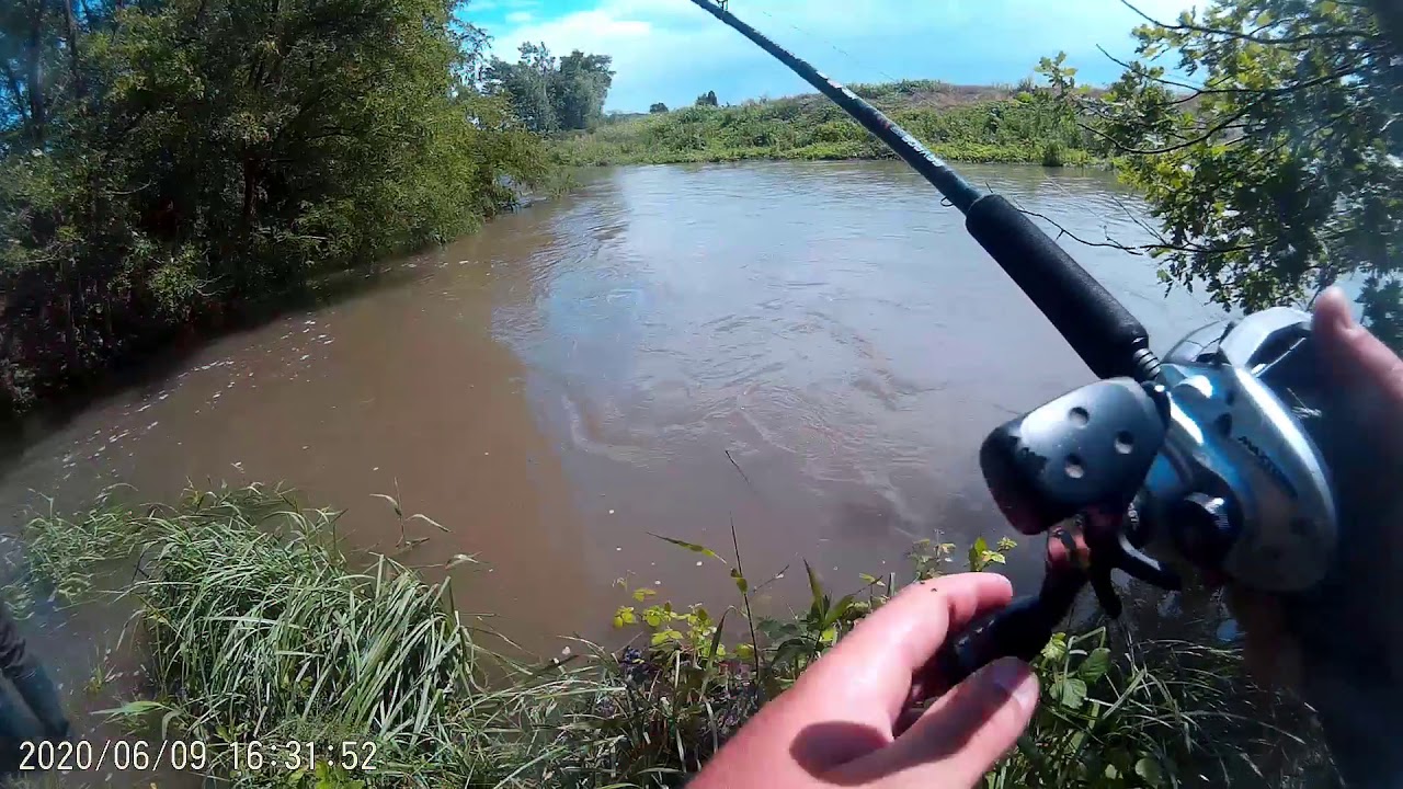 Siluro a spinning in Olona