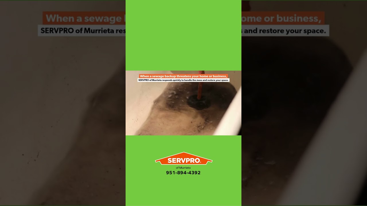 Sewage cleanup and restoration from SERVPRO of Murrieta