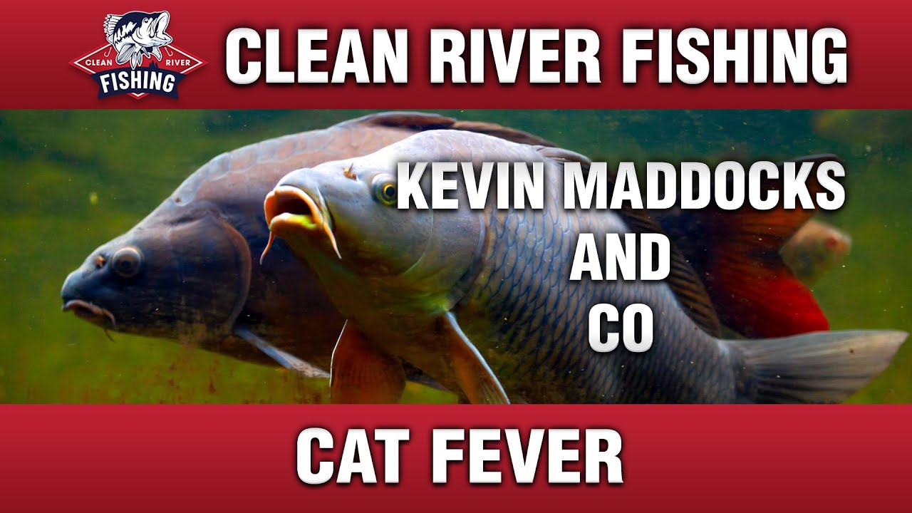 CRP141 KEVIN MADDOCKS & CO - CAT FEVER