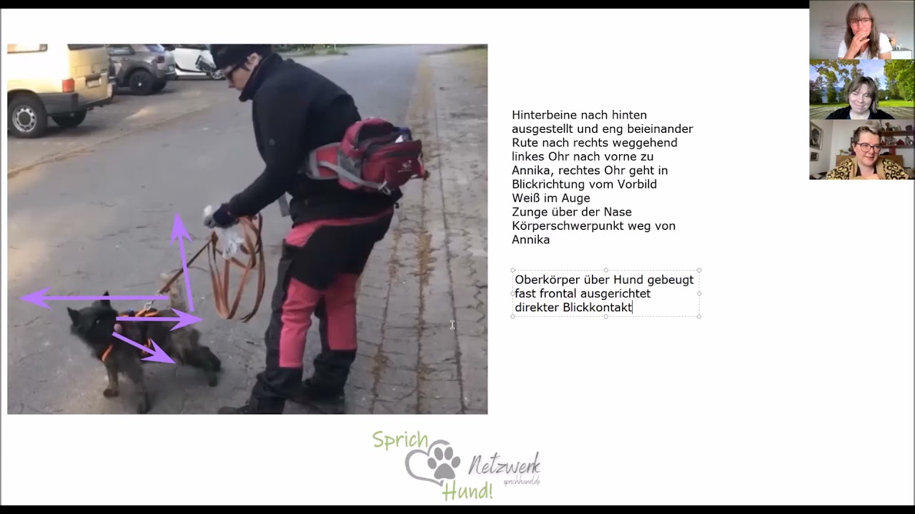 Sprich Hund Video Analyse - Meideverhalten oder Bock auf Trailen? Hundeverhalten unter der Lupe!