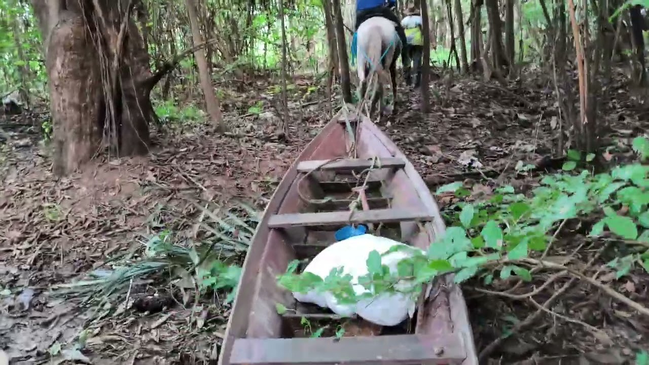 Aventura no Amazonas: translado do bote até o lago.
