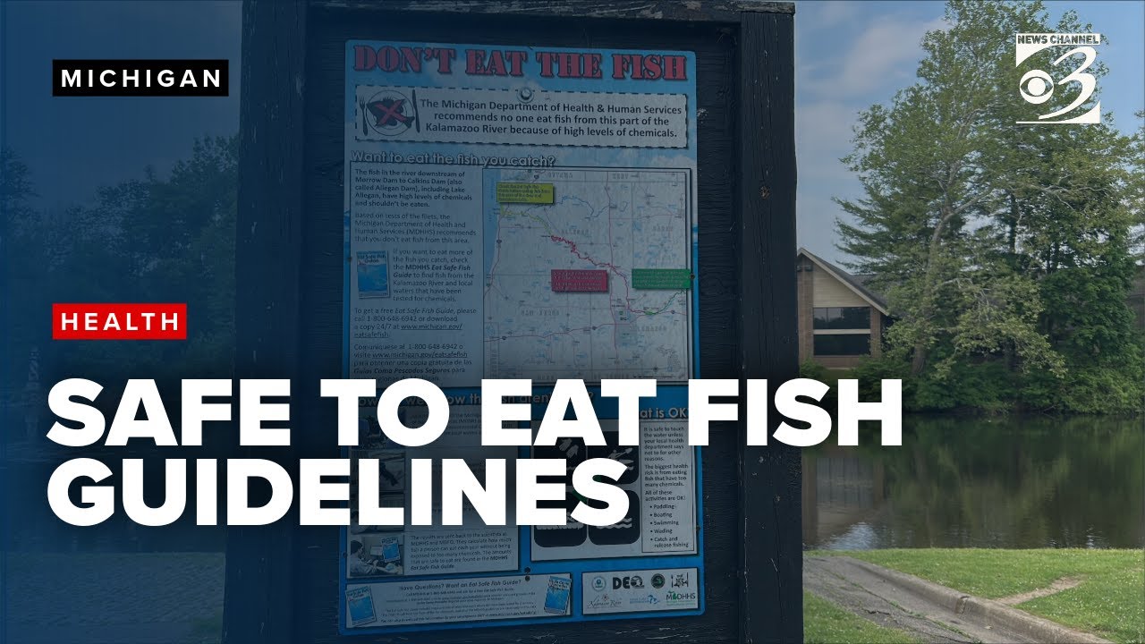 MDHHS releases 'safe to eat' fish guidelines, recommendations